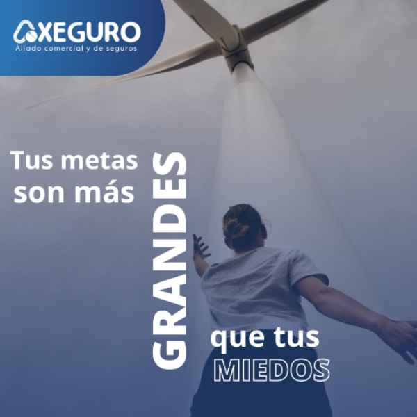 axeguro